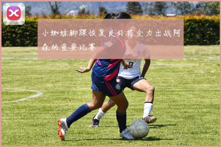 小蜘蛛脚踝恢复良好将全力出战阿森纳重要比赛