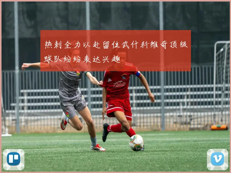 热刺全力以赴留住武什科维奇顶级球队纷纷表达兴趣